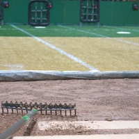 dirt-mounds.jpeg